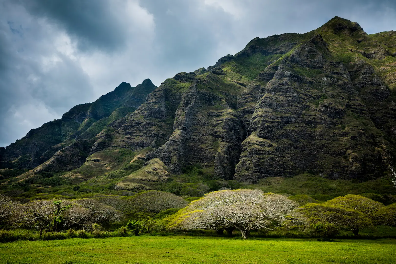 Rock cliffs covered with lush greenery overlooking green grass and trees in Oahu, Hawaii
